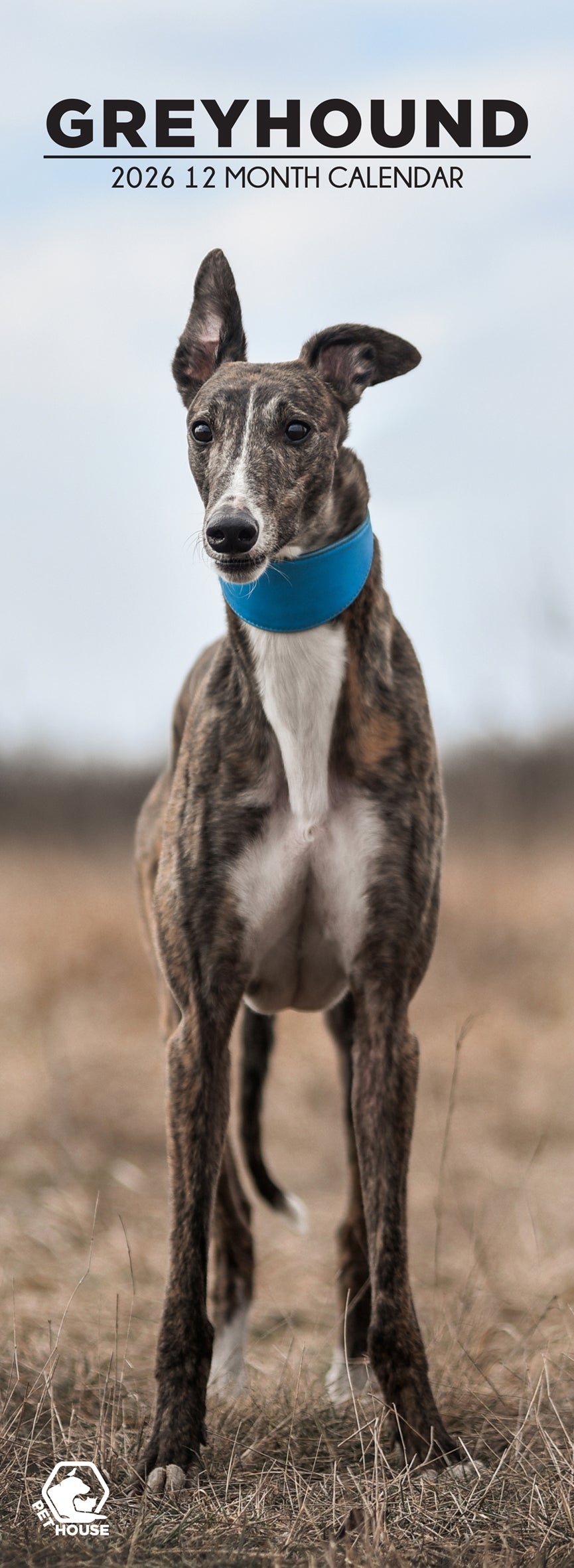 Greyhound - Slim Calendar 2026