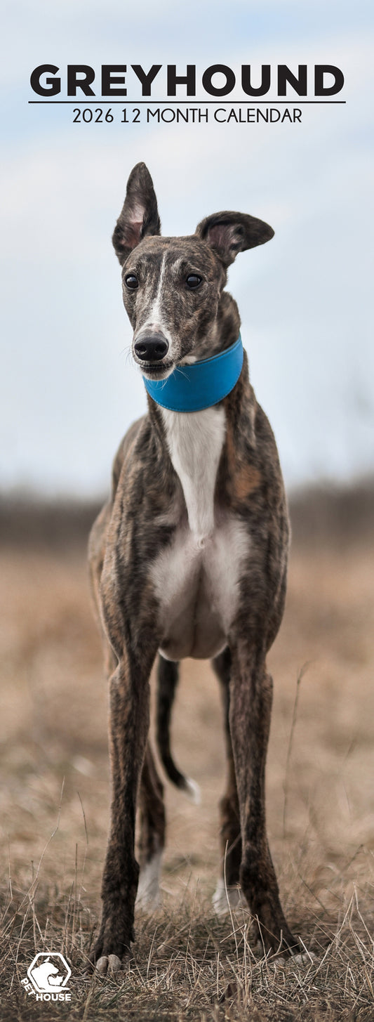 Greyhound - Slim Calendar 2026
