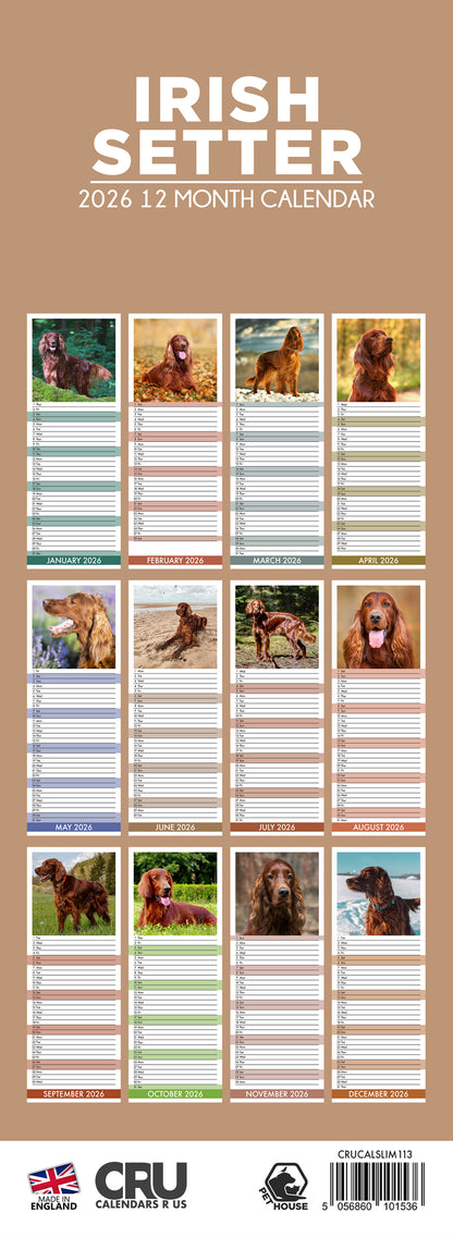 Irish Setter - Slim Calendar 2026