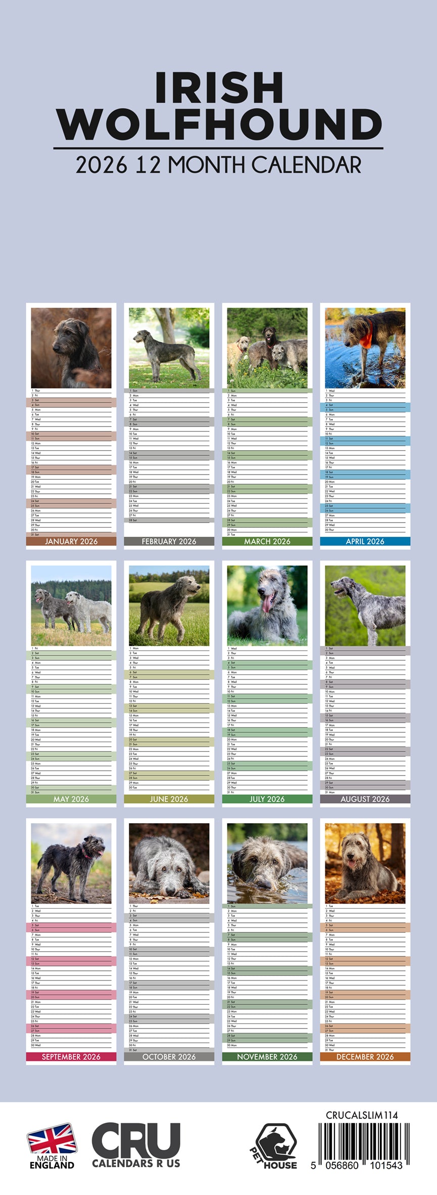 Irish Wolfhound - Slim Calendar 2026