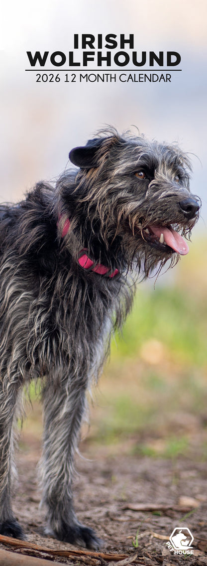 Irish Wolfhound - Slim Calendar 2026