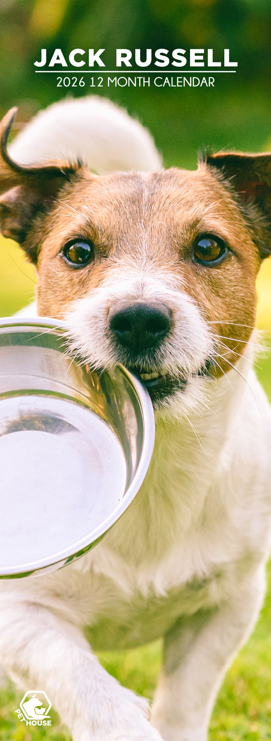 Jack Russell - Slim Calendar 2026