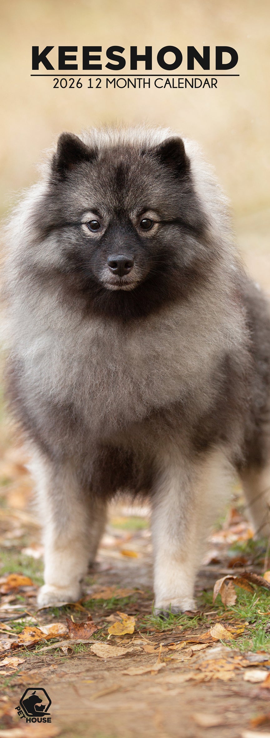 Keeshond - Slim Calendar 2026