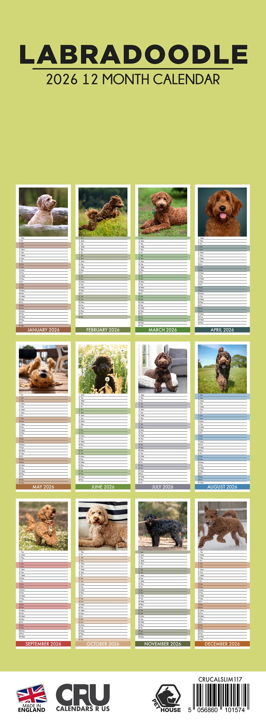 Labradoodle - Slim Calendar 2026