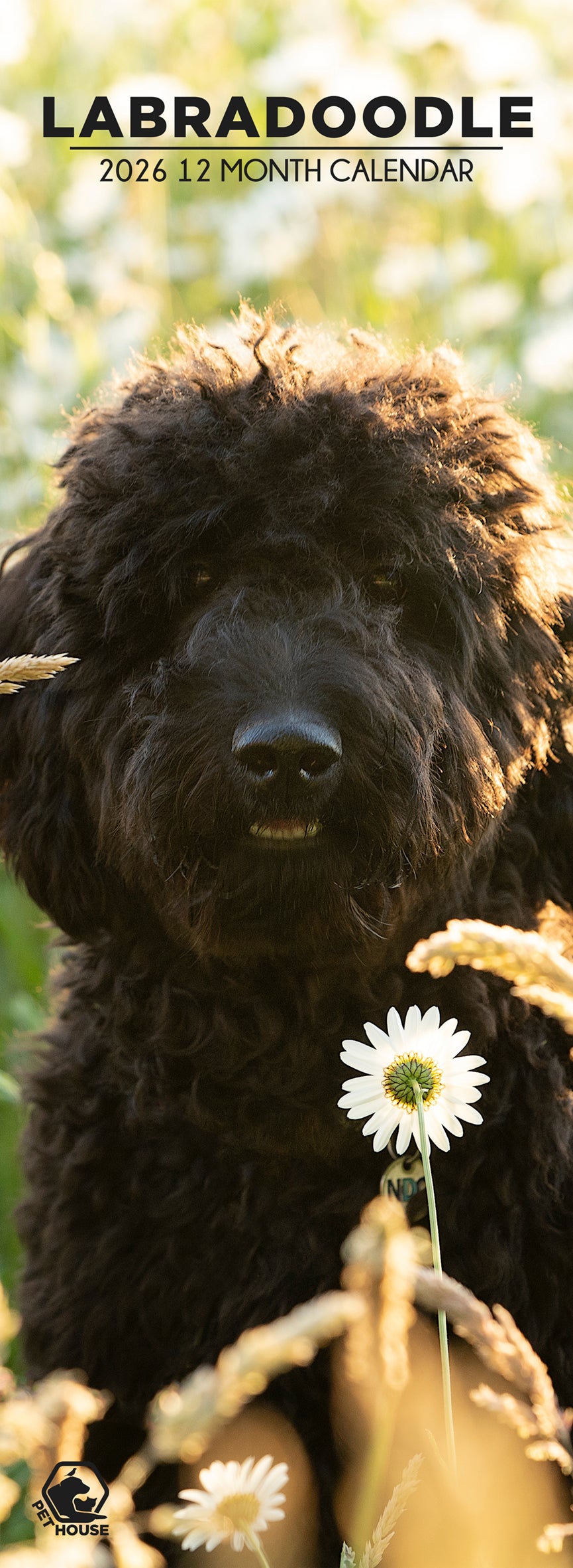 Labradoodle - Slim Calendar 2026
