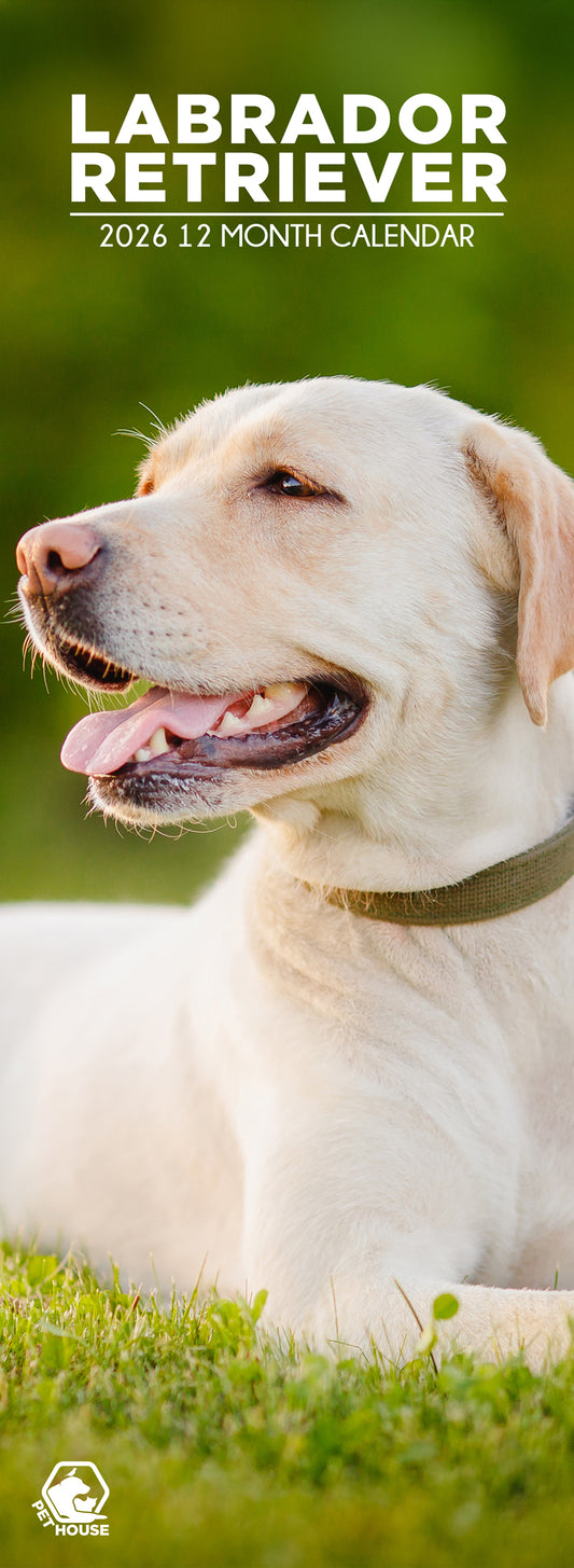 Labrador Retriever - Slim Calendar 2026