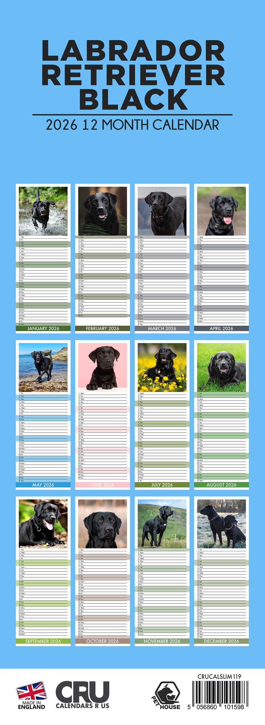Labrador Retriever Black - Slim Calendar 2026