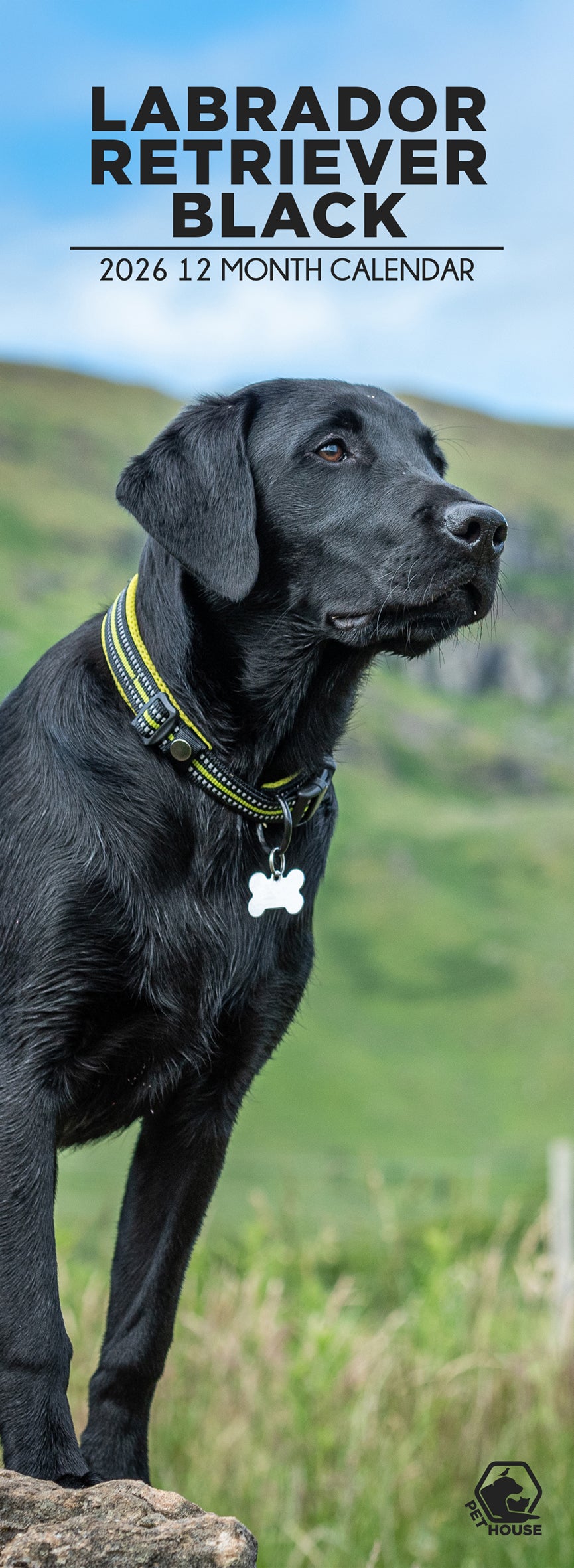 Labrador Retriever Black - Slim Calendar 2026