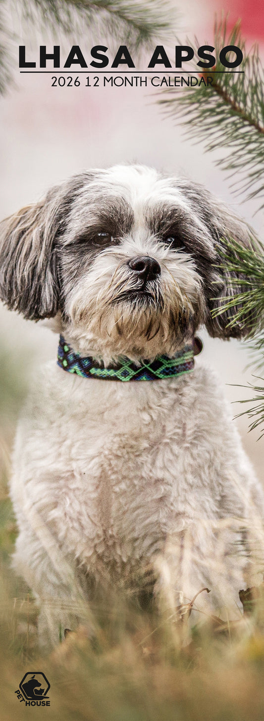 Lhasa Apso - Slim Calendar 2026