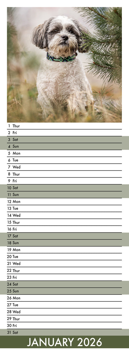 Lhasa Apso - Slim Calendar 2026