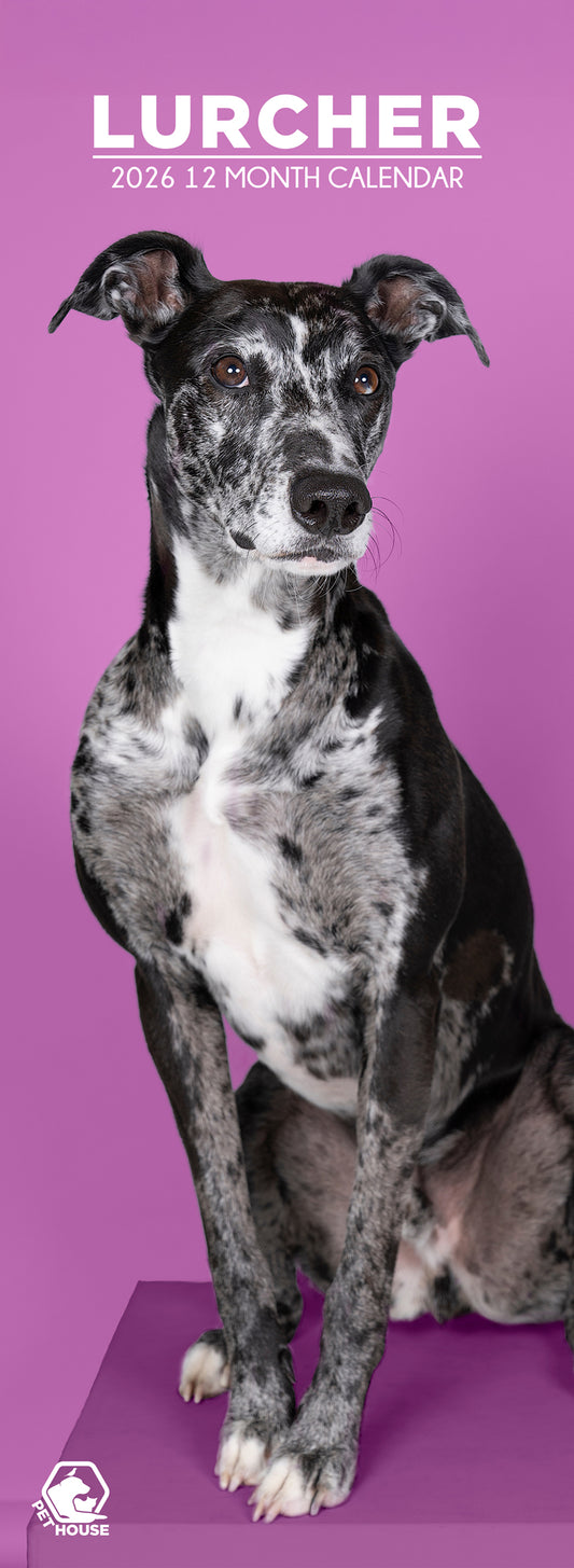 Lurcher - Slim Calendar 2026