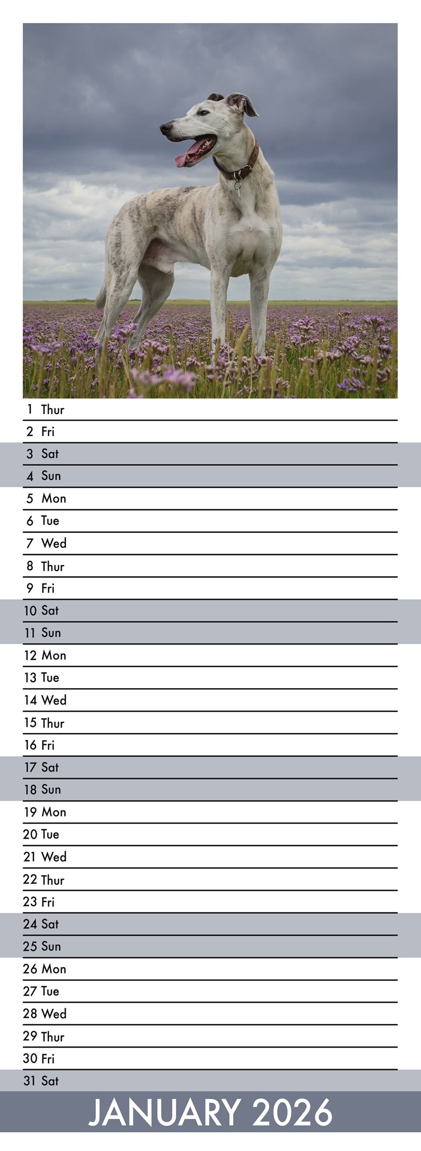 Lurcher - Slim Calendar 2026