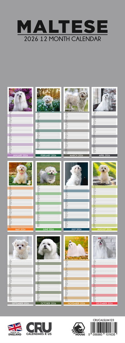 Maltese - Slim Calendar 2026