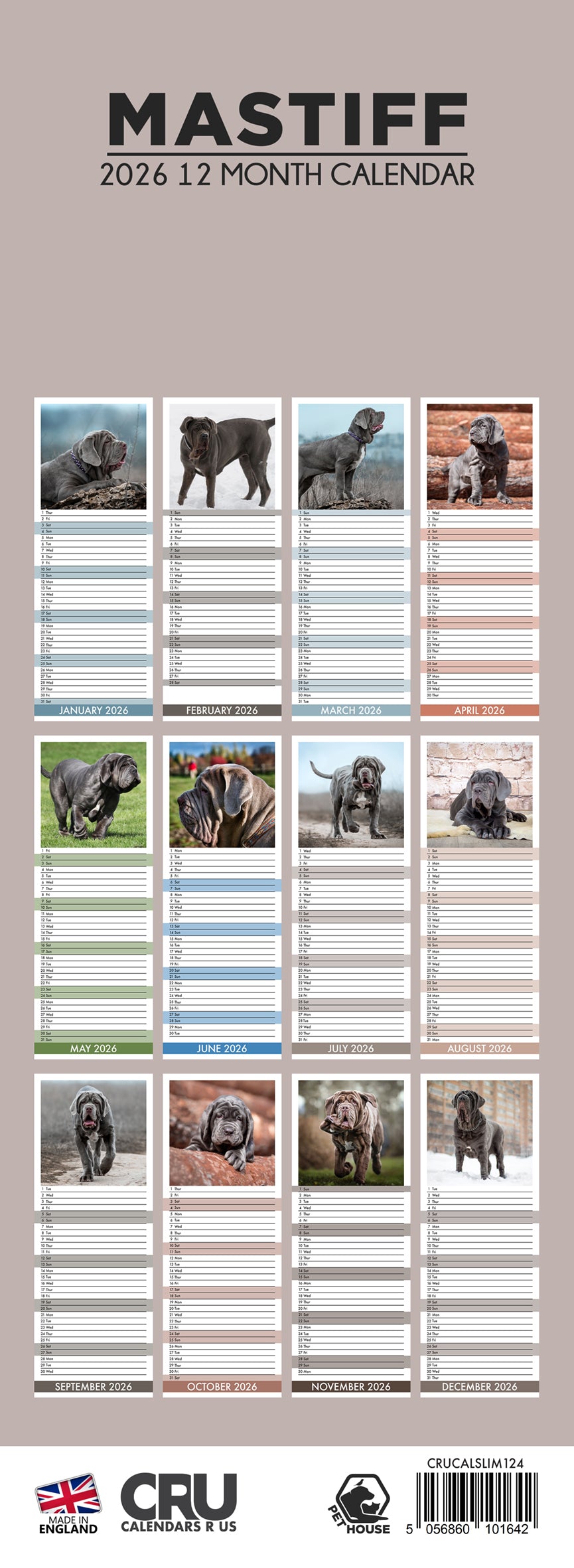 Mastiff - Slim Calendar 2026