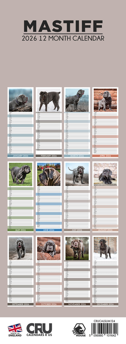 Mastiff - Slim Calendar 2026