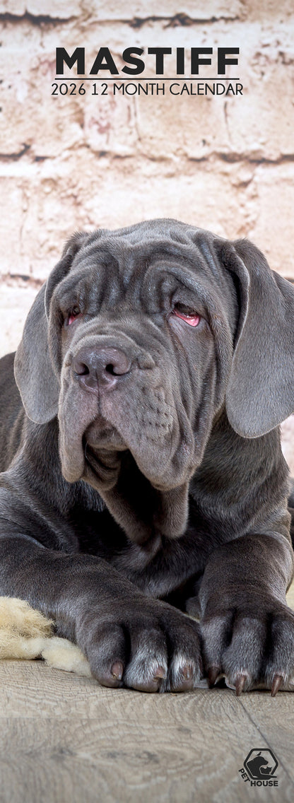 Mastiff - Slim Calendar 2026