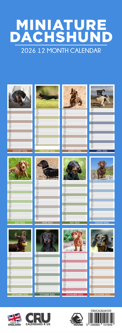 Miniature Dachshund - Slim Calendar 2026