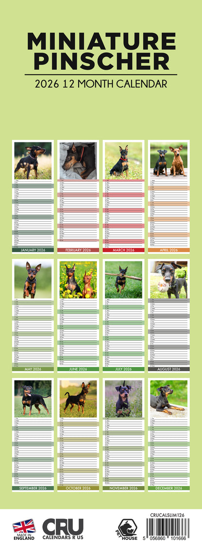 Miniature Pincher - Slim Calendar 2026