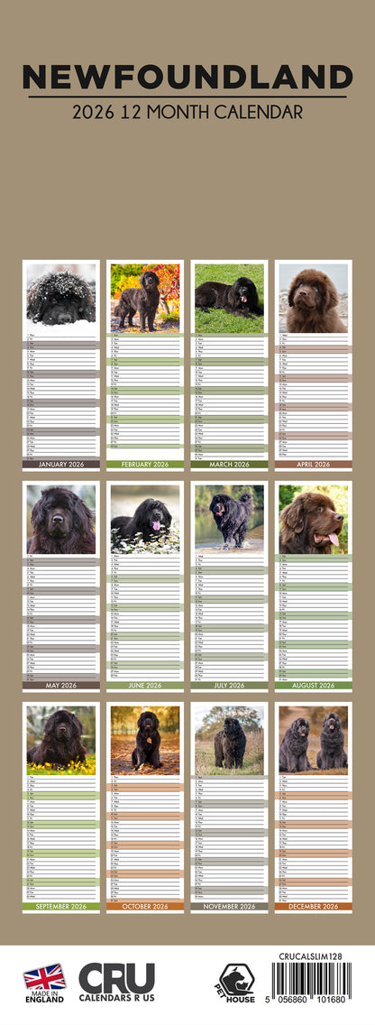 Newfoundland - Slim Calendar 2026