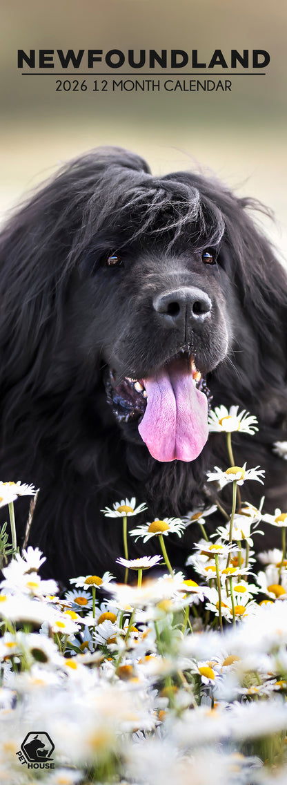 Newfoundland - Slim Calendar 2026