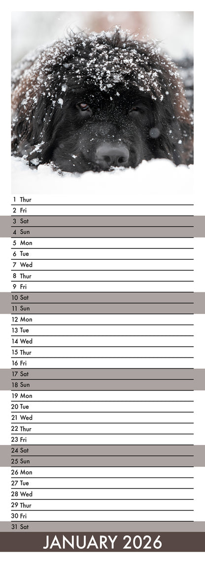 Newfoundland - Slim Calendar 2026