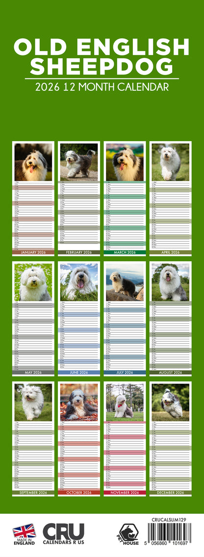 Old English Sheepdog - Slim Calendar 2026