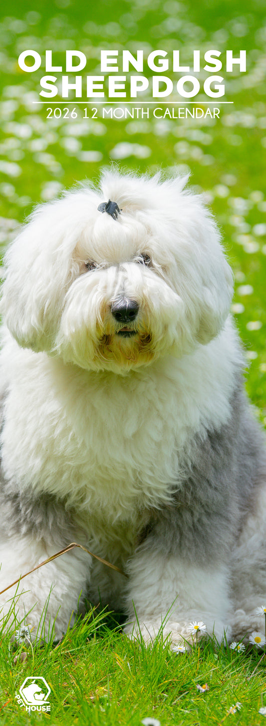 Old English Sheepdog - Slim Calendar 2026