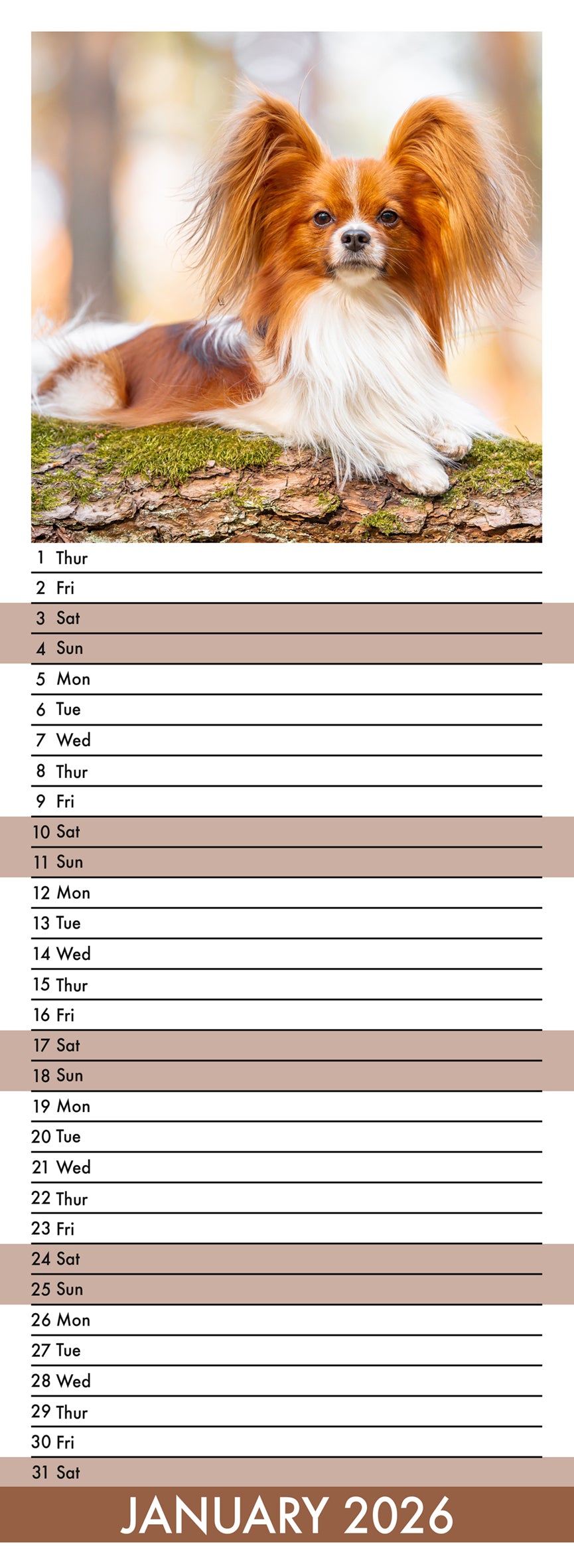 Papillon - Slim Calendar 2026