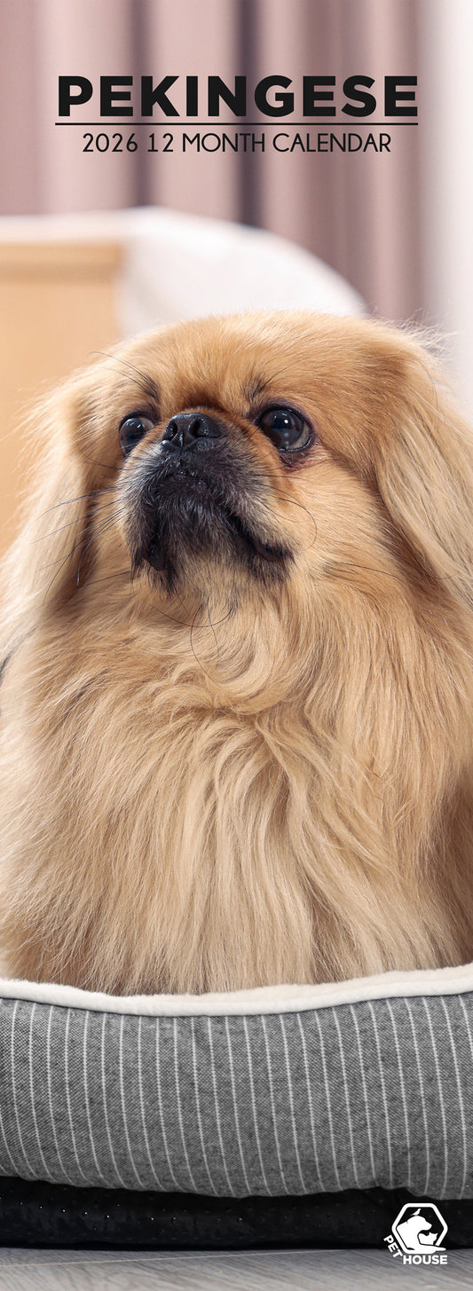 Pekingese - Slim Calendar 2026