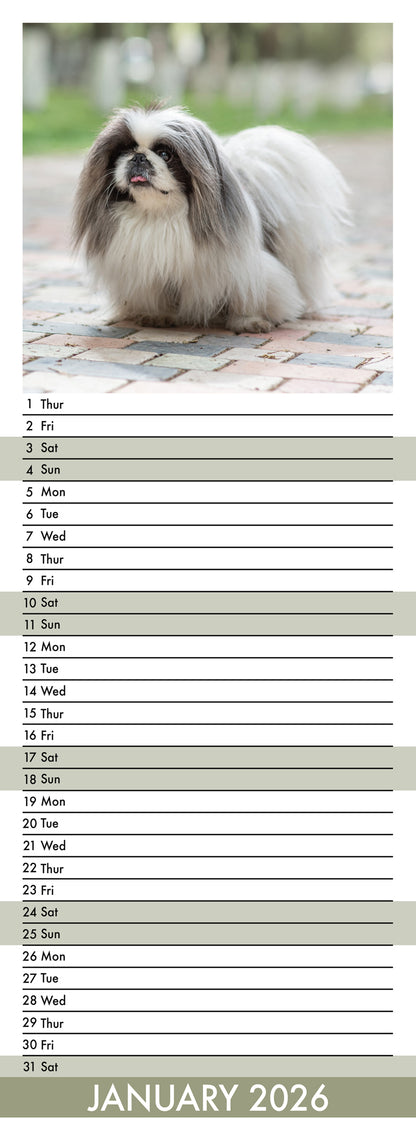 Pekingese - Slim Calendar 2026