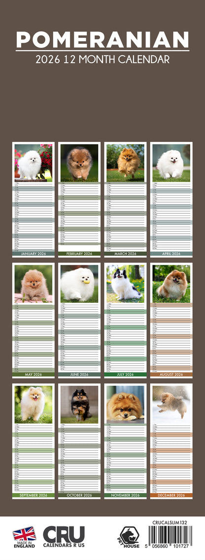 Pomeranian - Slim Calendar 2026