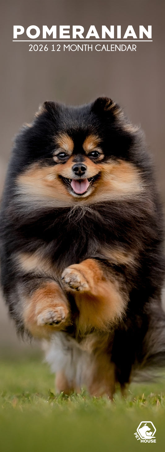 Pomeranian - Slim Calendar 2026