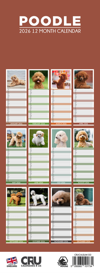 Poodle - Slim Calendar 2026