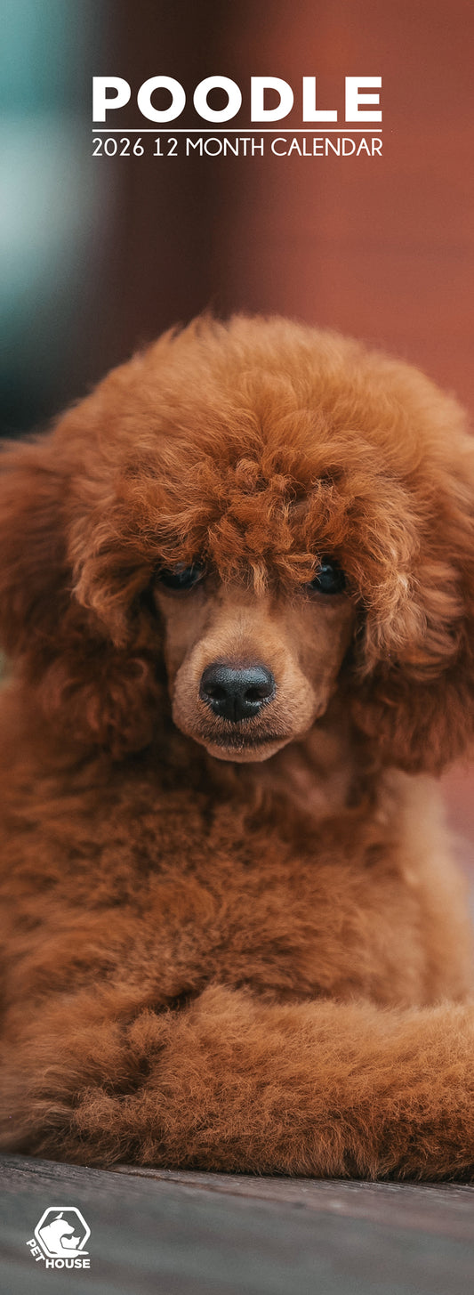 Poodle - Slim Calendar 2026