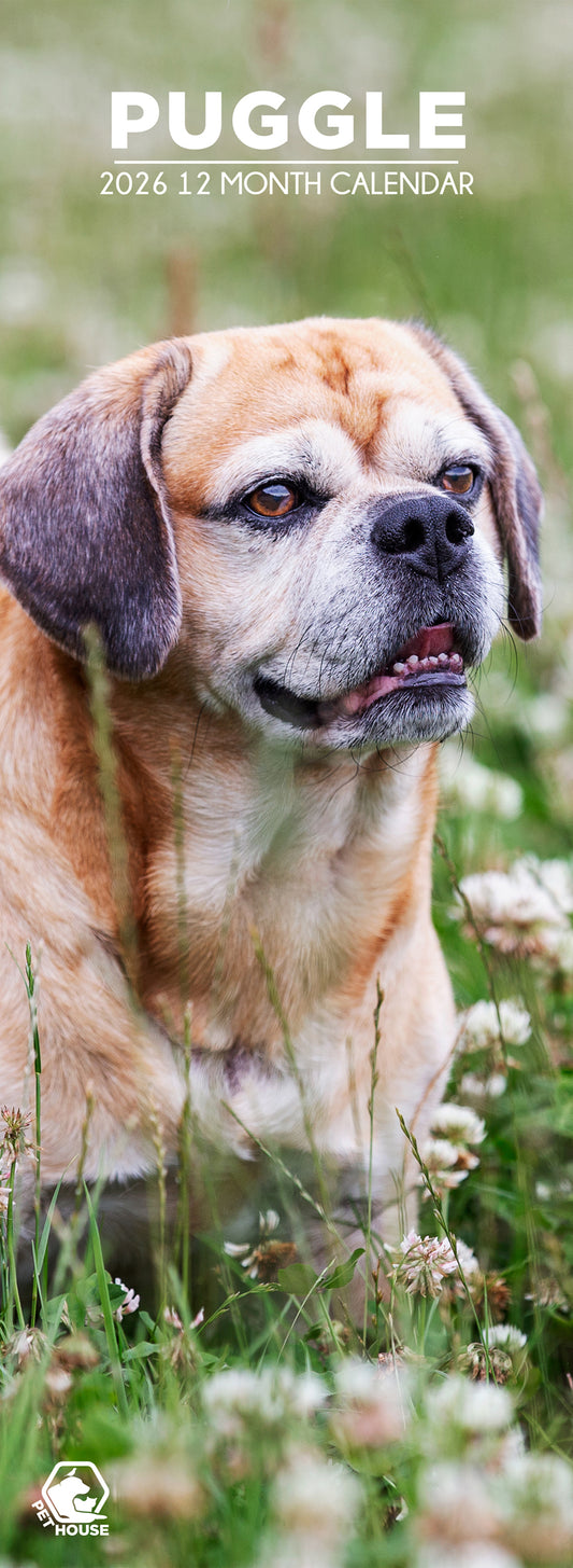 Puggle - Slim Calendar 2026