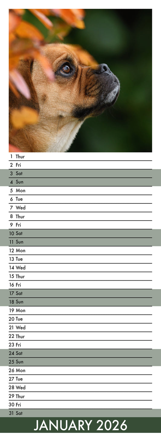 Puggle - Slim Calendar 2026