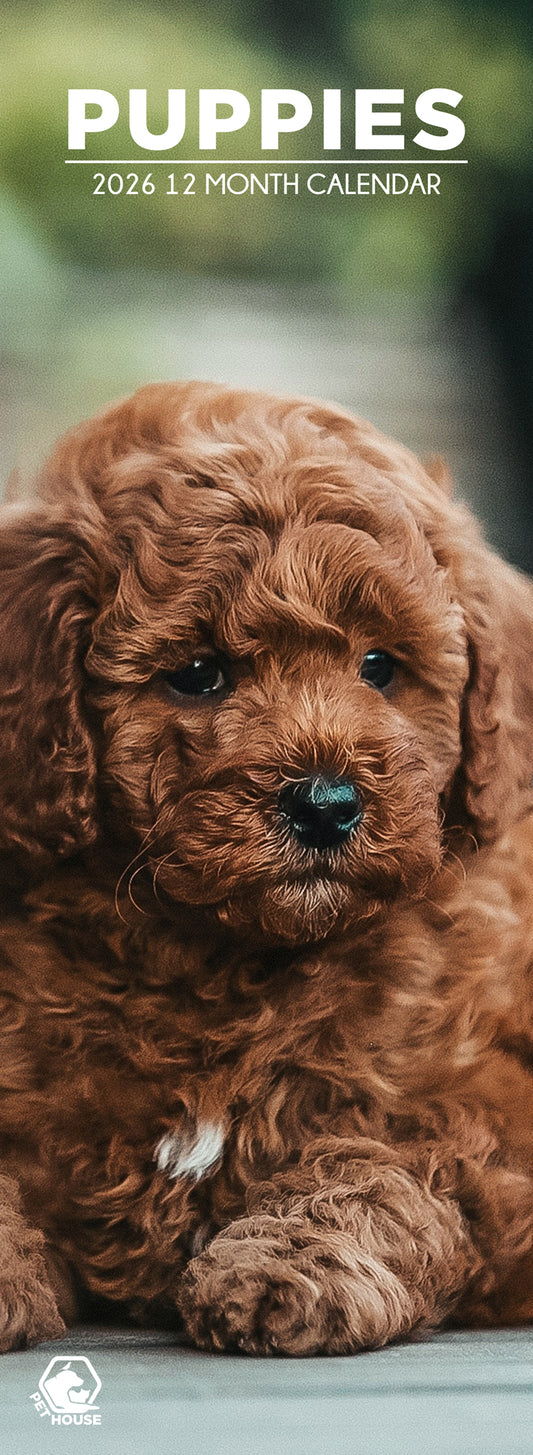 Puppies - Slim Calendar 2026