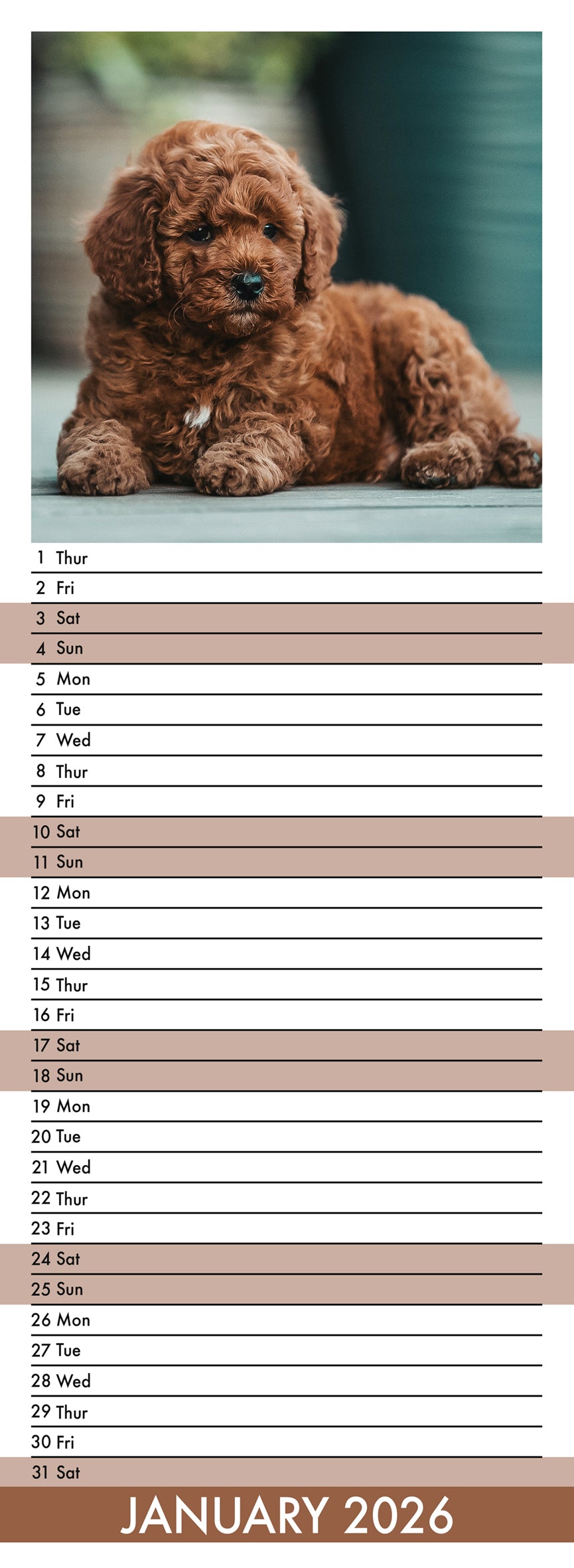 Puppies - Slim Calendar 2026