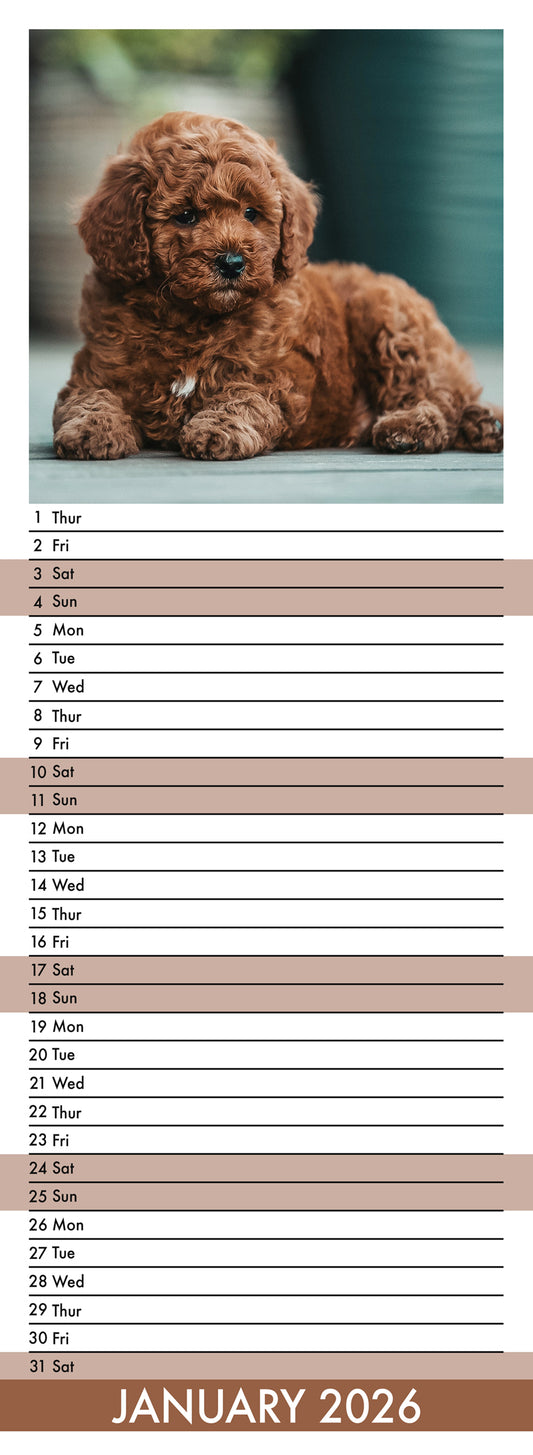 Puppies - Slim Calendar 2026