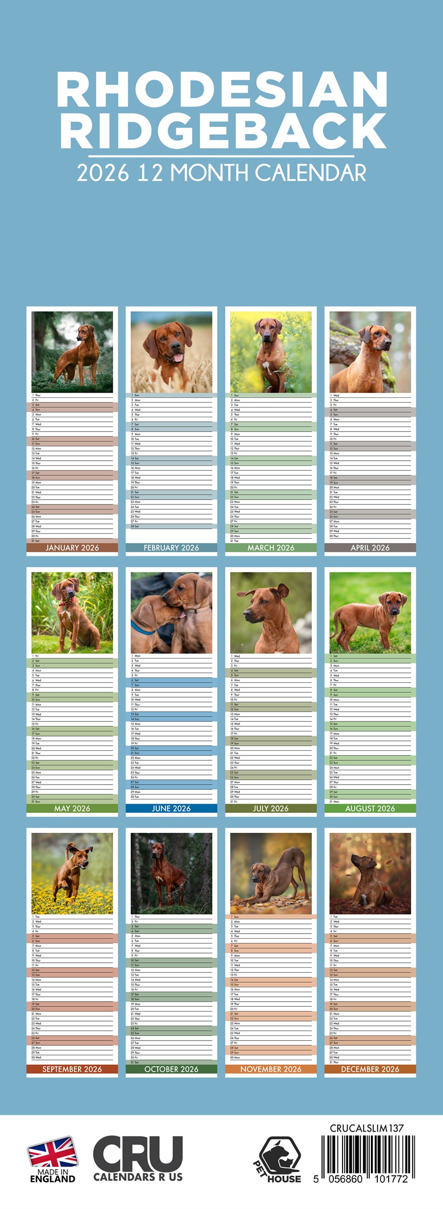 Rhodesian Ridgeback - Slim Calendar 2026