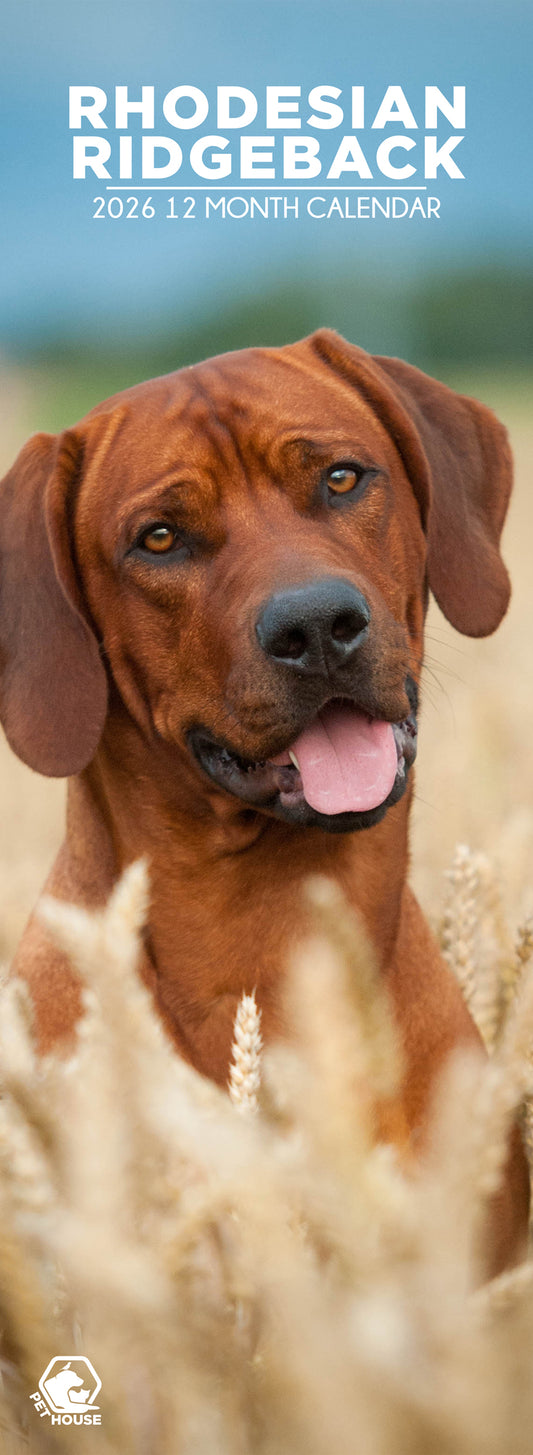 Rhodesian Ridgeback - Slim Calendar 2026