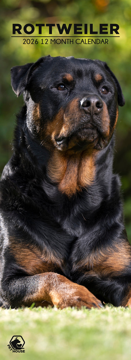 Rottweiler - Slim Calendar 2026