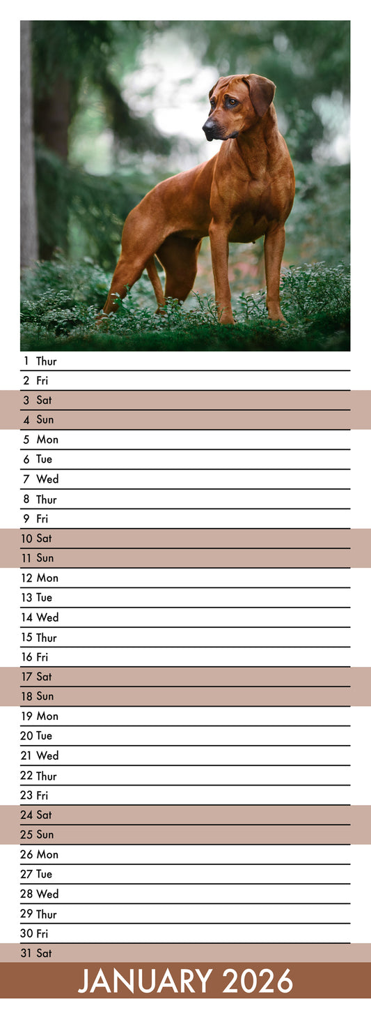 Rottweiler - Slim Calendar 2026
