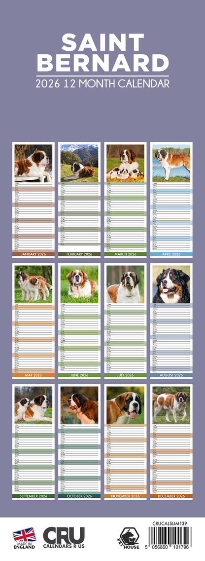 Saint Bernard - Slim Calendar 2026