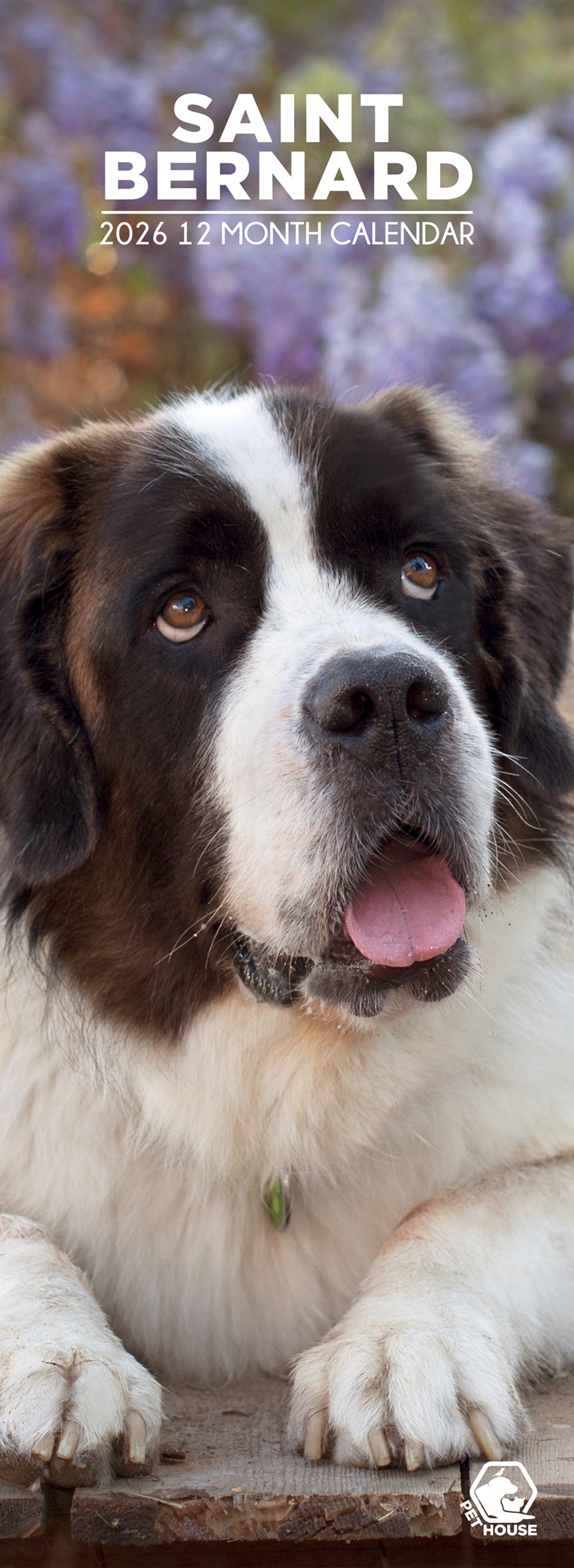 Saint Bernard - Slim Calendar 2026