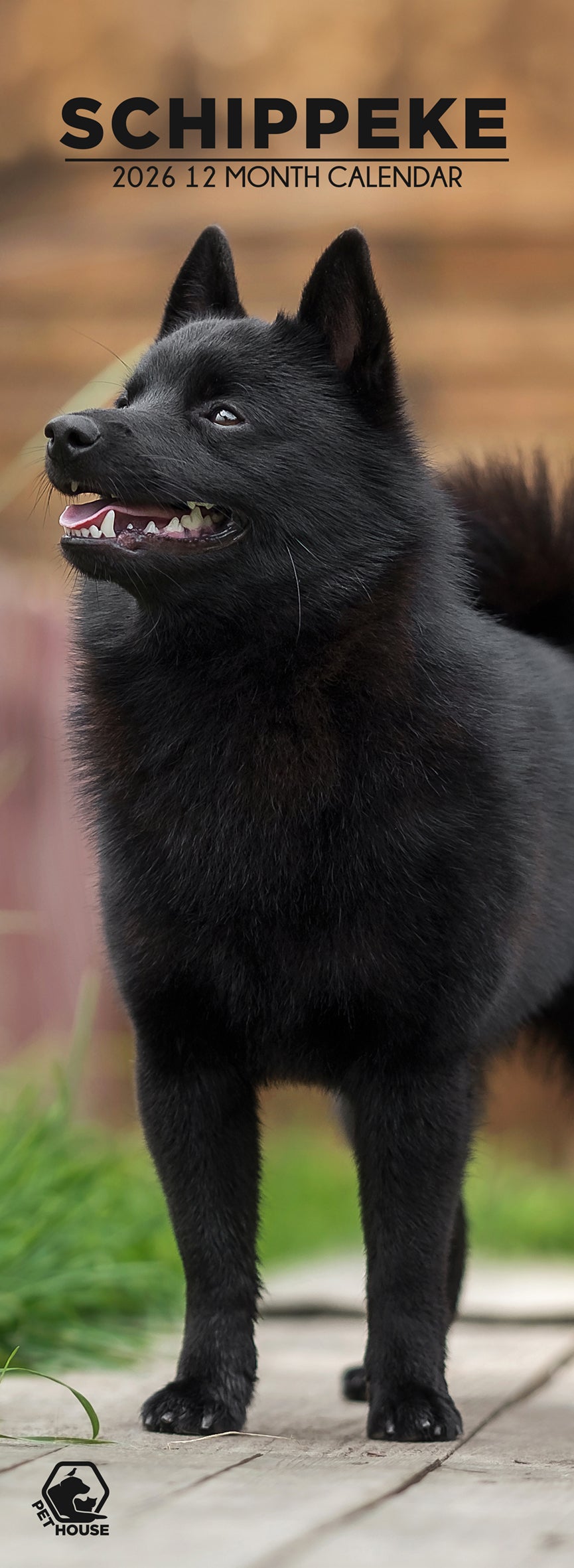 Schipperke - Slim Calendar 2026