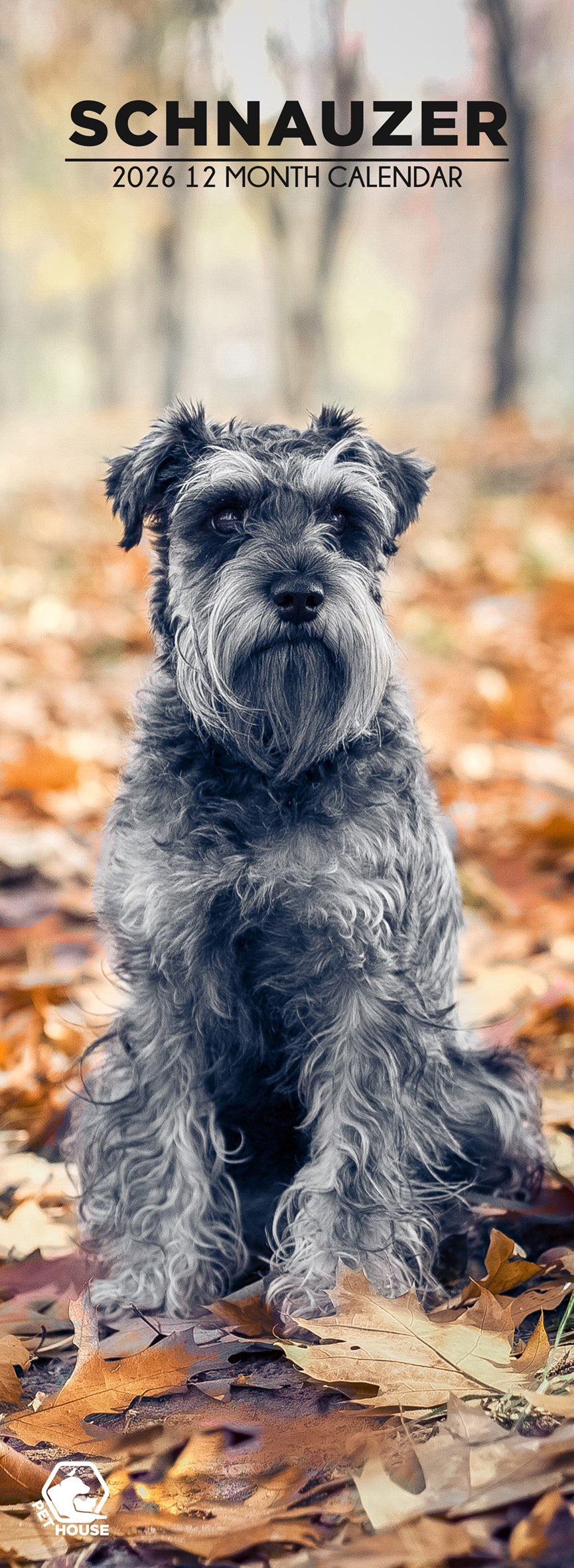 Schnauzer - Slim Calendar 2026
