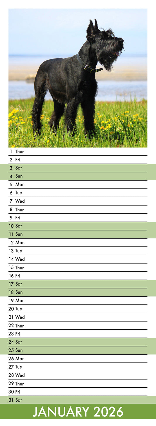 Schnauzer - Slim Calendar 2026
