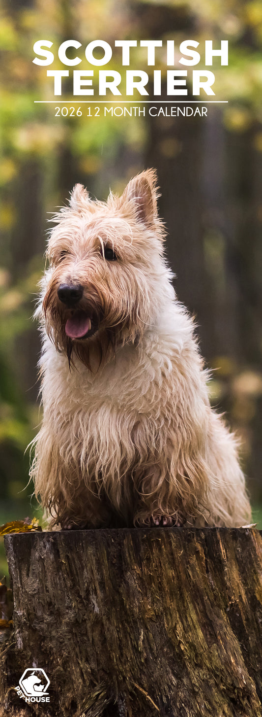 Scottish Terrier - Slim Calendar 2026