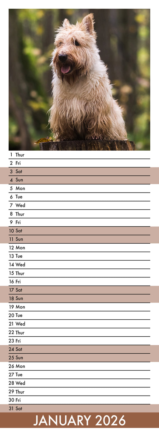 Scottish Terrier - Slim Calendar 2026